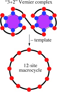 Vernier Templating of Nanoscopic Porphyrin Rings