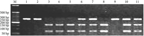 Details are in the caption following the image