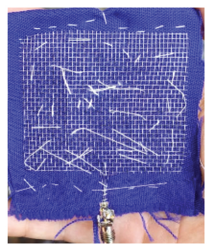 Details are in the caption following the image Details are in the caption following the image