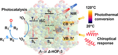 Merging One- and Multi-Photon Processes in Hydrogen-Bonded Organic Frameworks for Enhanced NIR Light-Driven Photothermal and Photochemical Conversions