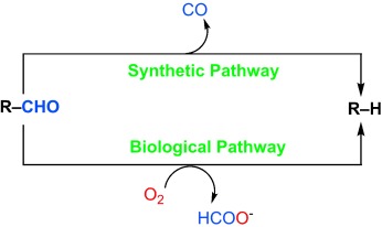 Metal-Mediated Deformylation Reactions: Synthetic and Biological Avenues