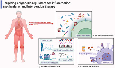 Targeting epigenetic regulators for inflammation: Mechanisms and intervention therapy