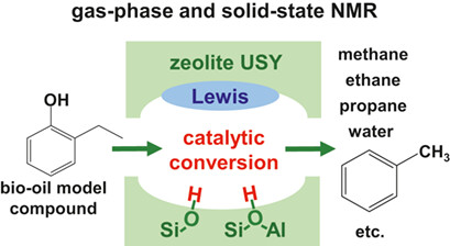 Direct Proof of Volatile and Adsorbed Hydrocarbons on Solid Catalysts by Complementary NMR Methods
