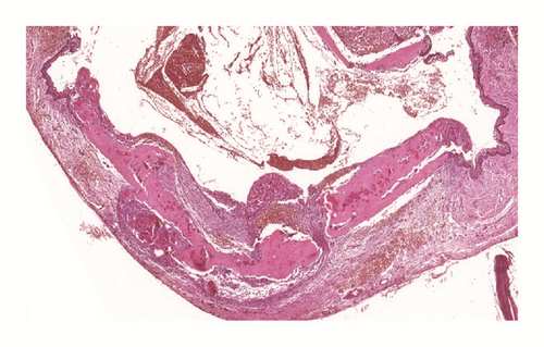 Details are in the caption following the image