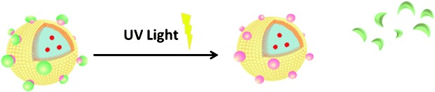 Photocontrolled Targeted Drug Delivery: Photocaged Biologically Active Folic Acid as a Light-Responsive Tumor-Targeting Molecule