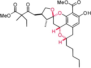 A Synthesis-Driven Structure Revision of Berkelic Acid Methyl Ester