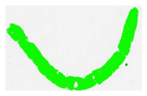Details are in the caption following the image