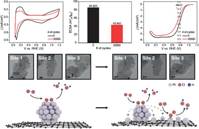 Multiple-length scale investigation of Pt/C degradation by identical-location transmission electron microscopy