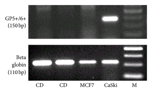 Details are in the caption following the image