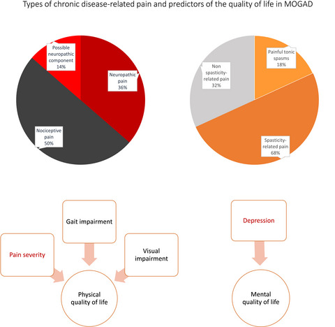 Pain, depression, and quality of life in adults with MOG-antibody–associated disease