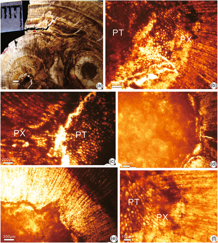 Details are in the caption following the image Details are in the caption following the image
