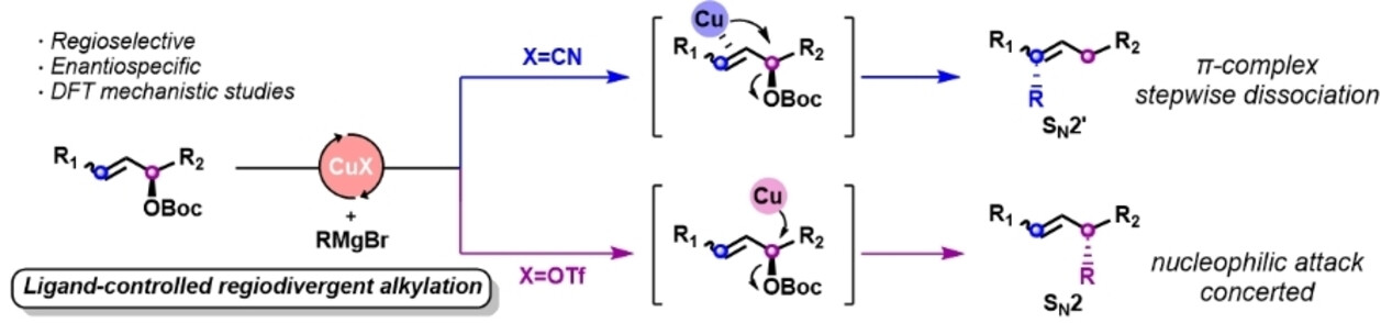 Copper-Catalyzed Regiodivergent Internal Allylic Alkylations