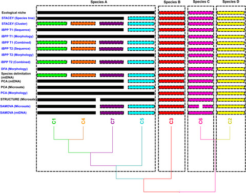 How many species does the Psammobates tentorius (tent tortoise) species complex (Reptilia, Testudinidae) comprise? A taxonomic solution potentially applicable to species complexes