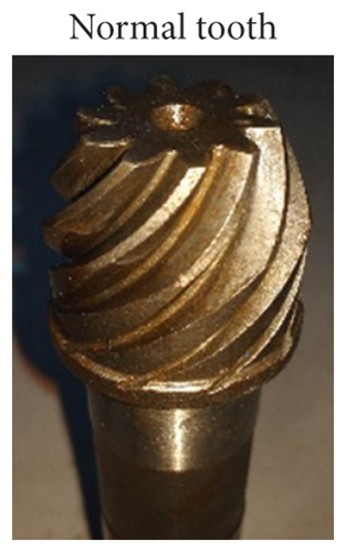 Details are in the caption following the image