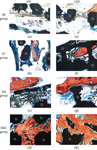 Details are in the caption following the image