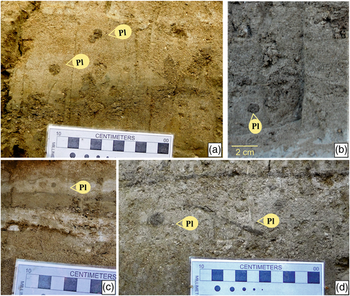 Details are in the caption following the image