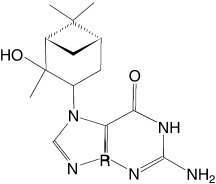 Mass Spectrometric Studies of DNA Adducts from a Reaction with Terpenoids
