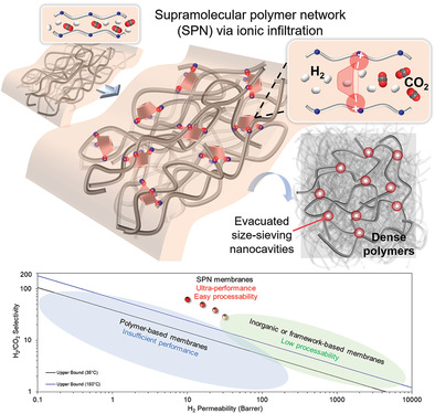 Supramolecular Polymer Network Membranes with Molecular-Sieving Nanocavities for Efficient Pre-Combustion CO2 Capture