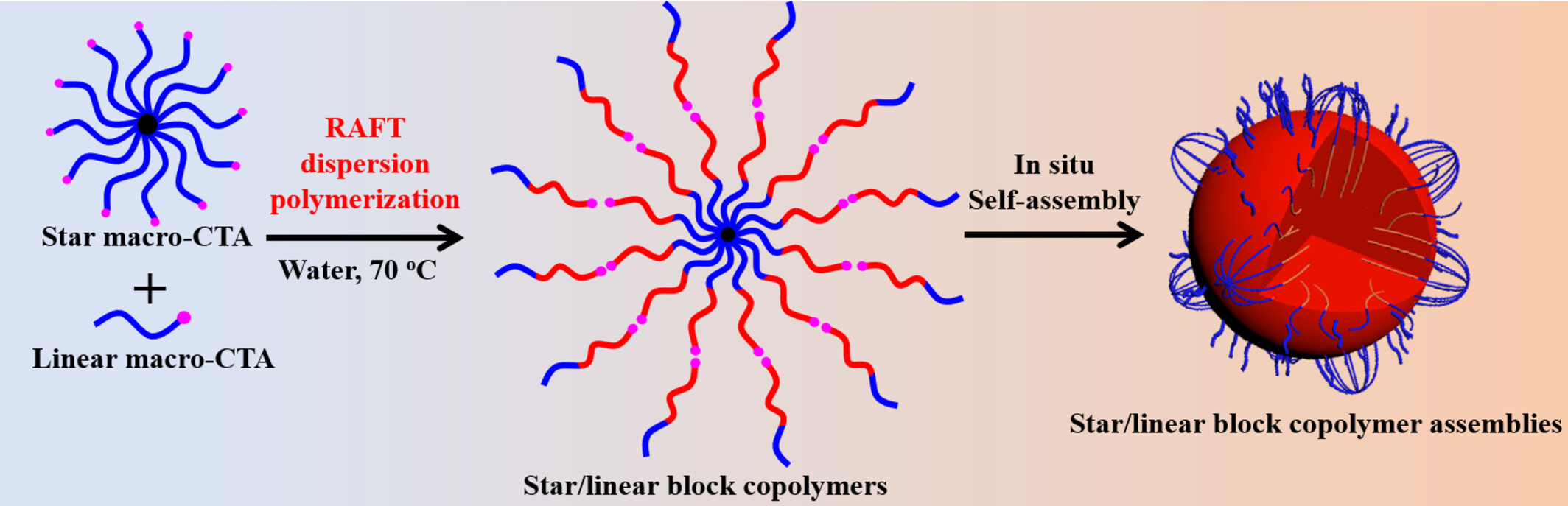 Synthesis of Self-assembled Star/Linear Block Copolymer Blends via Aqueous RAFT Dispersion Polymerization