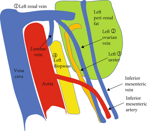 Details are in the caption following the image Details are in the caption following the image