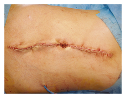 Details are in the caption following the image Details are in the caption following the image