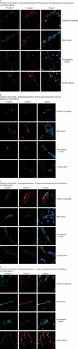 Details are in the caption following the image Details are in the caption following the image