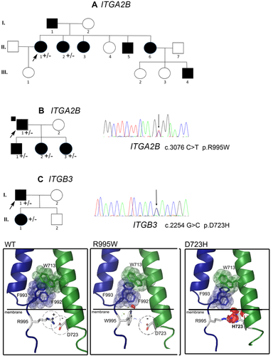 Details are in the caption following the image Details are in the caption following the image