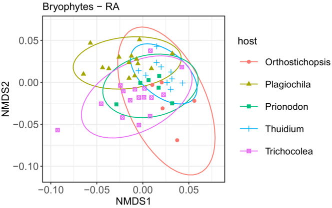 High diversity and low specificity of fungi associated with seedless epiphytic plants