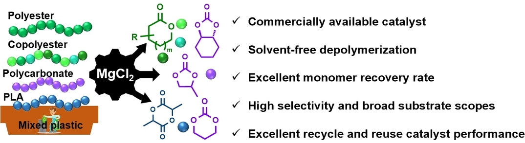 Solvent-Free Chemical Recycling of Polyesters and Polycarbonates by Magnesium-Based Lewis Acid Catalyst