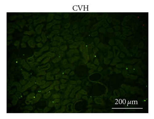 Details are in the caption following the image