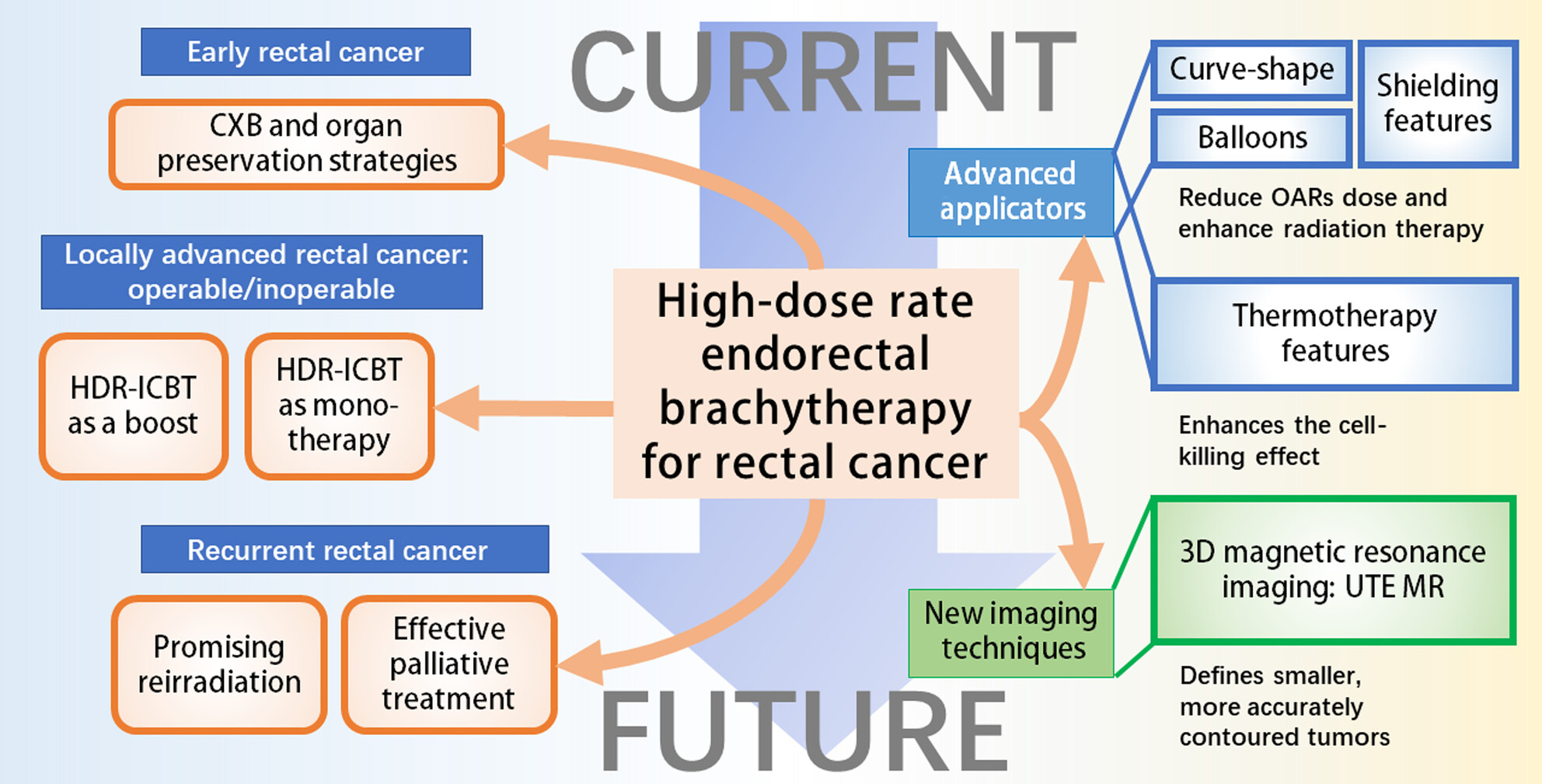 High-dose rate endorectal brachytherapy for rectal cancer: A state-of-the-art review