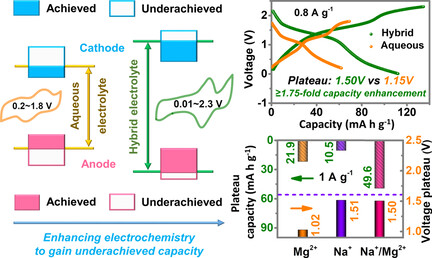 High-Energy Aqueous Magnesium Hybrid Full Batteries Enabled by Carrier-Hosting Potential Compensation