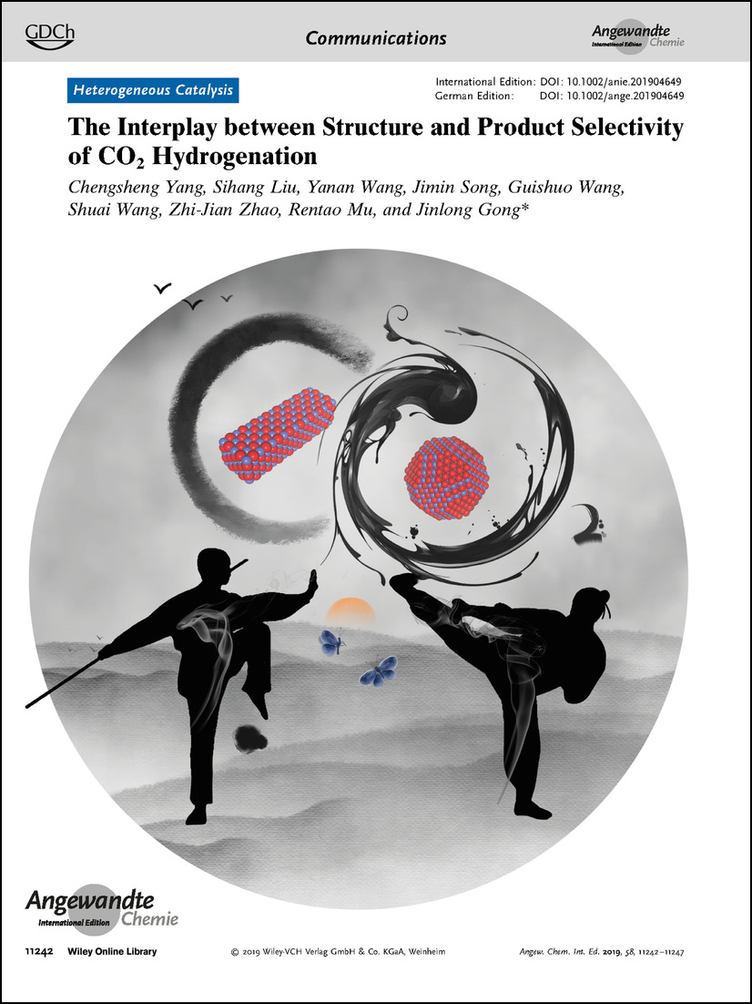 Frontispiece: The Interplay between Structure and Product Selectivity of CO2 Hydrogenation Volume 58 Issue 33, 2019