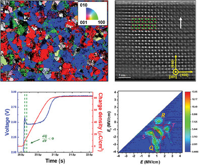 Ferroelastic Domain Switching and Time-Resolved Negative Capacitance in Polar-Axis-Oriented Hf0.5Zr0.5O2 Grown by Atomic Layer Epitaxy