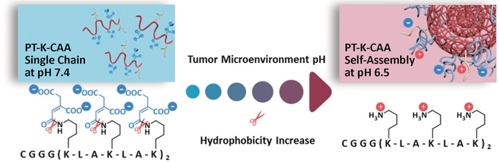 Microenvironment-Induced In Situ Self-Assembly of Polymer–Peptide Conjugates That Attack Solid Tumors Deeply