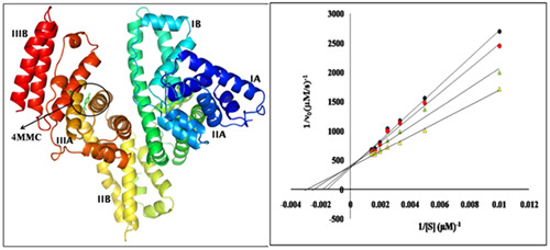 Esterase activity and conformational changes of bovine serum albumin toward interaction with mephedrone: Spectroscopic and computational studies