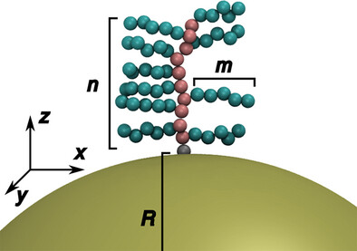 A General Approach to Predict and Tailor the Nanoscale Permeability of Comb-Shaped Polymer Coatings