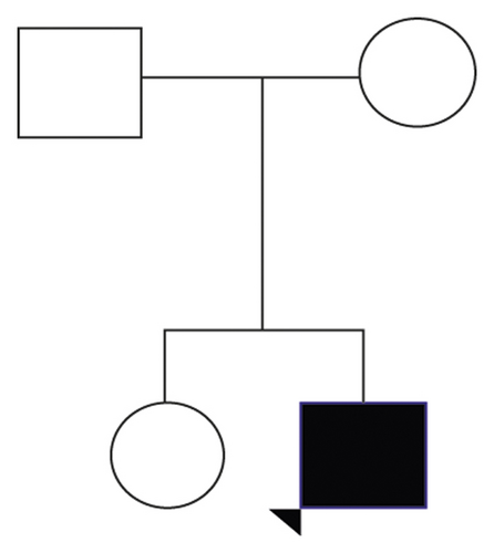 Details are in the caption following the image