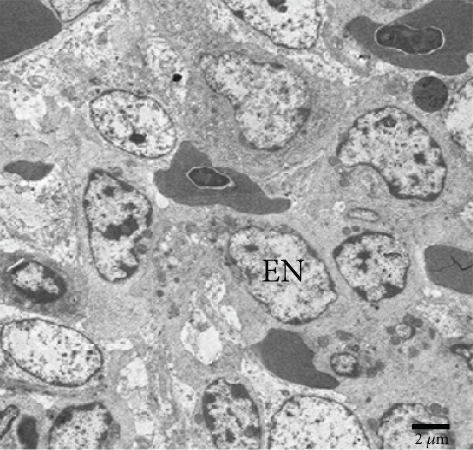 Details are in the caption following the image