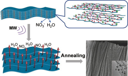 Topochemical Synthesis of 2D Carbon Hybrids through Self-Boosting Catalytic Carbonization of a Metal–Polymer Framework