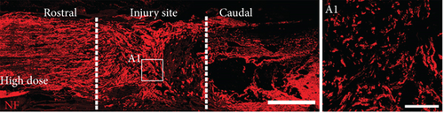 Details are in the caption following the image