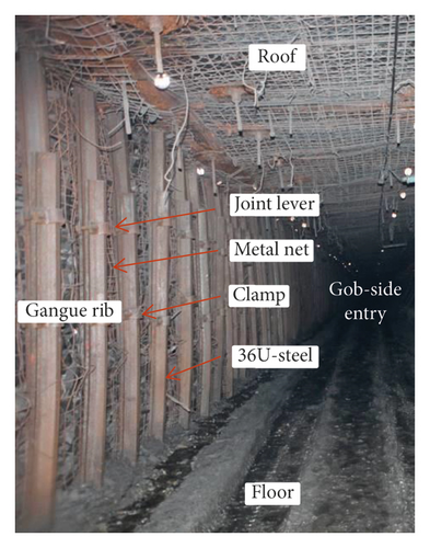 Details are in the caption following the image Details are in the caption following the image