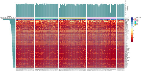 Spectrum of gene mutations identified by targeted next-generation sequencing in Chinese leukemia patients