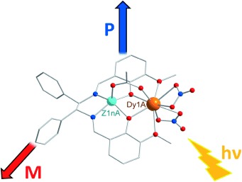 A High-Temperature Molecular Ferroelectric Zn/Dy Complex Exhibiting Single-Ion-Magnet Behavior and Lanthanide Luminescence