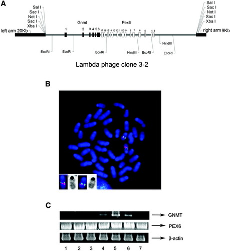 Details are in the caption following the image Details are in the caption following the image