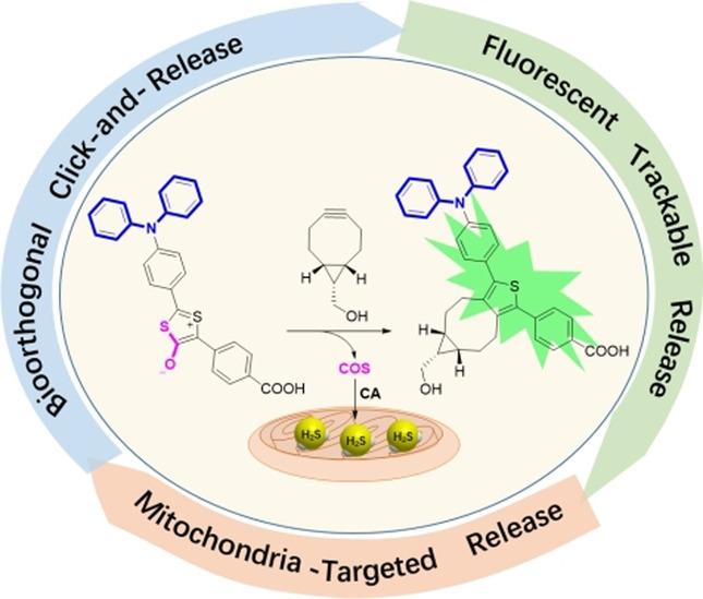 Design and Development of a Bioorthogonal, Visualizable and Mitochondria-Targeted Hydrogen Sulfide (H2S) Delivery System