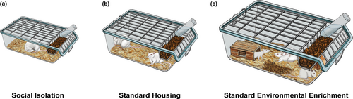 Details are in the caption following the image Details are in the caption following the image