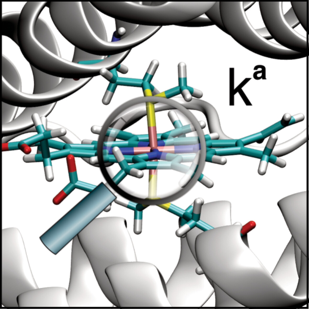 A Closer Look at the FeS Heme Bonds in Azotobacter vinelandii Bacterioferritin: QM/MM and Local Mode Analysis
