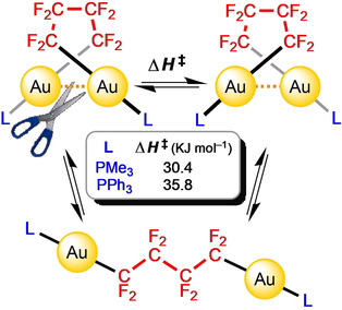 Gold Complexes with Difunctional Perfluoroalkyl Chains: Quantifying the Energy of Aurophilic Interactions in Flexible Open-Chain Complexes
