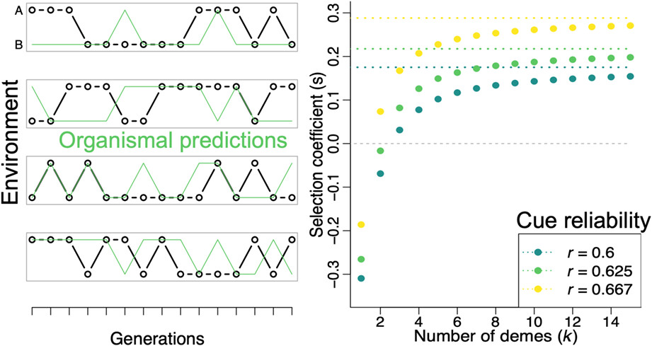 Bet-hedging via dispersal aids the evolution of plastic responses to unreliable cues